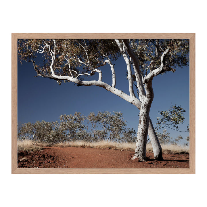 Red Earth Framed Printed Wall Art - Sweet Pea Interiors