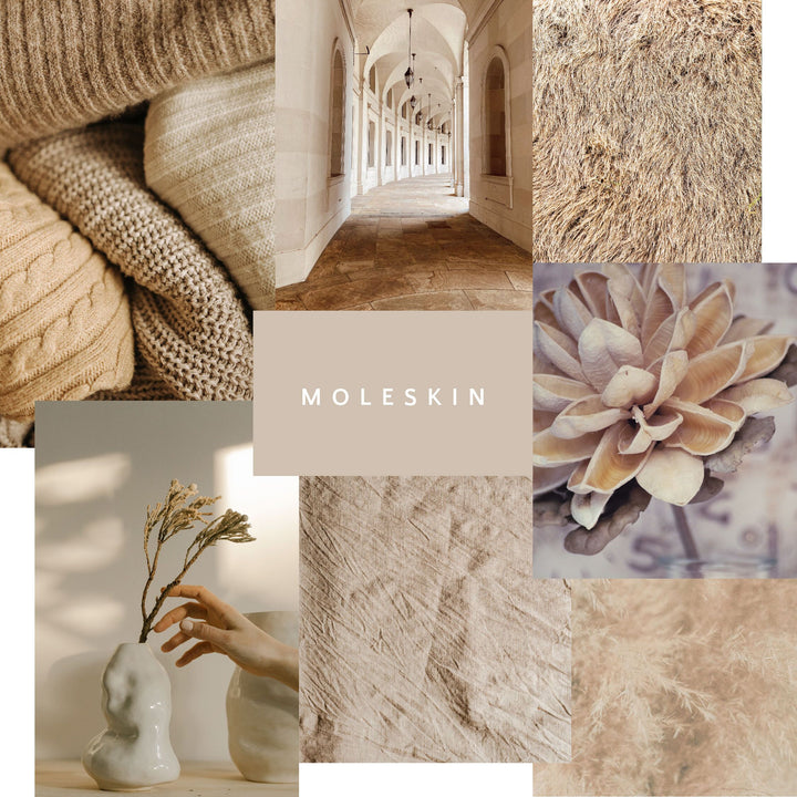 mineral-paint-moleskin-showcase-of-colour