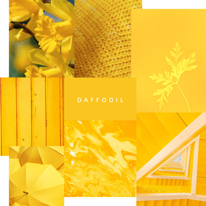 Mineral Paint - Daffodil - Sweet Pea Interiors