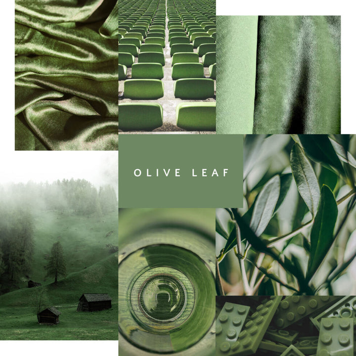 Chalk Finish Paint - Olive Leaf - Sweet Pea Interiors