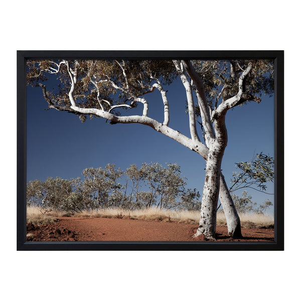 Red Earth Framed Printed Wall Art - Sweet Pea Interiors
